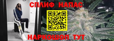 наркотики Дубна