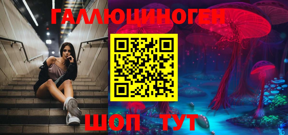 Валуйки  Галлюциногенные грибы прущие грибы  Вход с VPN 